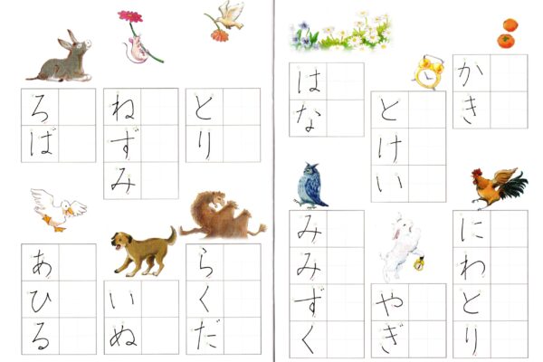 w03.img20260219_08082780